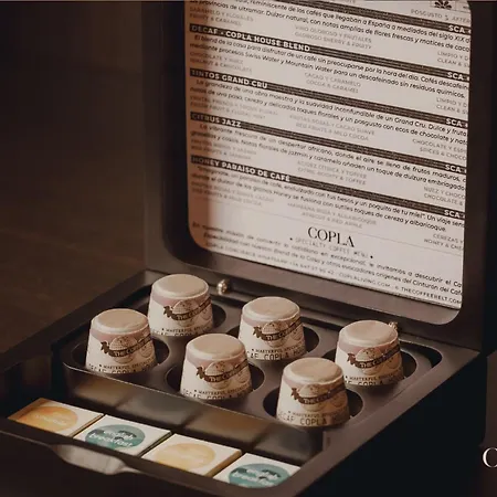Apart Otel Copla 4*